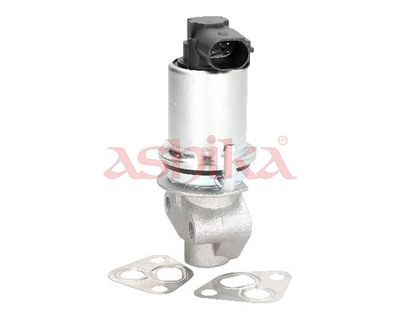 SUPAPA EGR ASHIKA 150000913