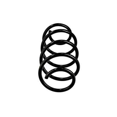 ARC SPIRAL EIBACH R10521 1