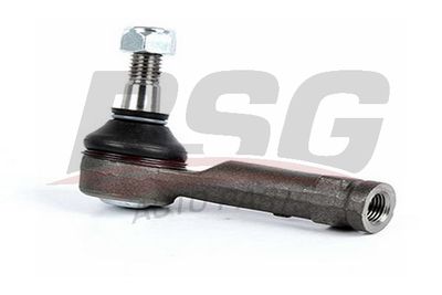 BSG BSG 30-310-102 Наконечник рулевой тяги  для FORD  (Форд Екоспорт)