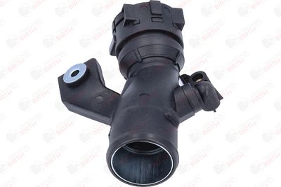 FURTUN EAR SUPRAALIMENTARE BIRTH 55806 4