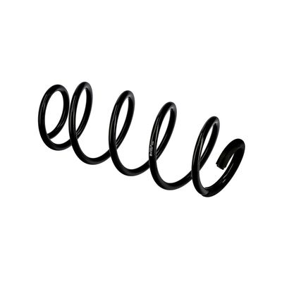 ARC SPIRAL EIBACH R10067 21