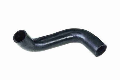 FURTUN EAR SUPRAALIMENTARE