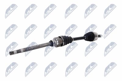 PLANETARA NTY NPWCT183 4