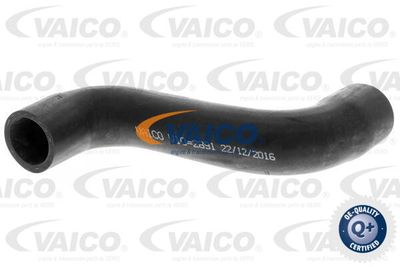 Трубка нагнетаемого воздуха VAICO V10-2891 для AUDI A2