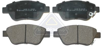 National NP2880