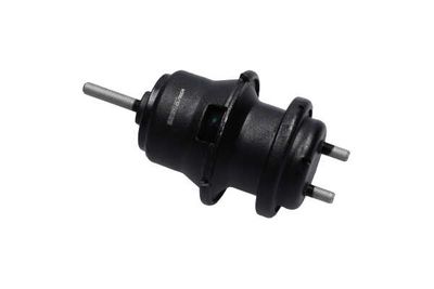 SUPORT MOTOR Kavo Parts EEM8013 11