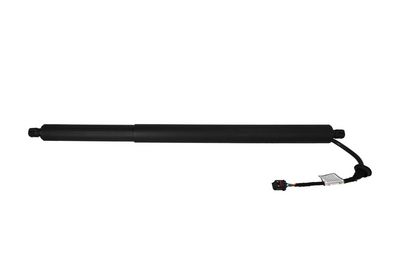 Galinių durų elektros variklis