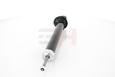 AMORTIZOR GH GH304737 17