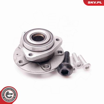 SET RULMENT ROATA ESEN SKV 29SKV040 1