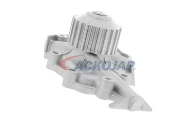 POMPă DE APă RăCIRE MOTOR ACKOJA A510700 45