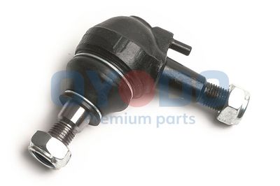 Šarnyras / girgždukas