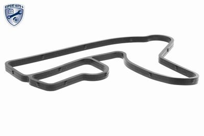 RADIATOR ULEI ULEI MOTOR VEMO V24600051 1