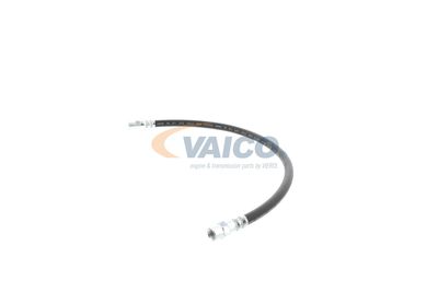 FURTUN FRANA VAICO V309926 20
