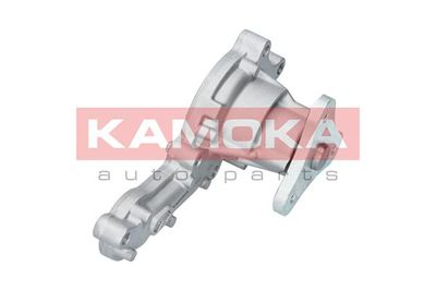 POMPă DE APă RăCIRE MOTOR KAMOKA T0150 1