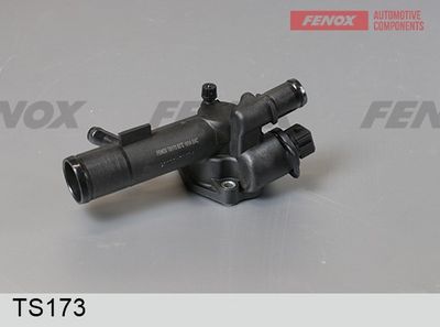 термостат, охладителна течност FENOX TS173