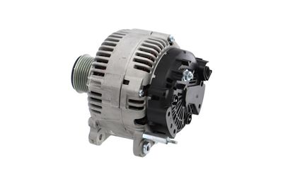 GENERATOR / ALTERNATOR REMANTE 011003000030R 17