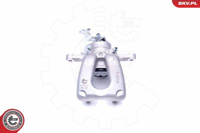 Brake Caliper 44SKV054