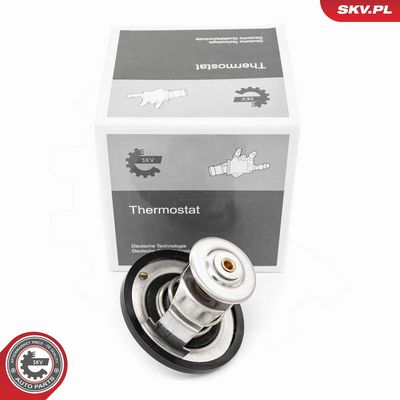 Thermostat, Kühlmittel