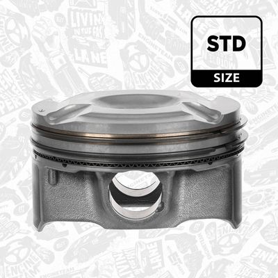 PISTON ET ENGINETEAM PM016000 1