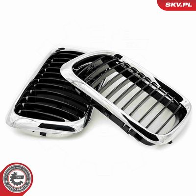 GRILA RADIATOR ESEN SKV 66SKV053 2