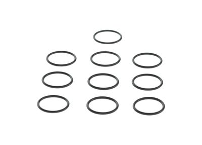 O-ring