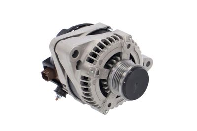 GENERATOR / ALTERNATOR REMANTE 011003000061R 20