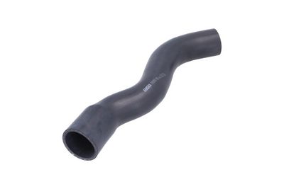 FURTUN EAR SUPRAALIMENTARE