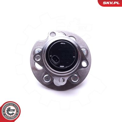 Rato guolio komplektas