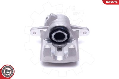 Brake Caliper 42SKV444