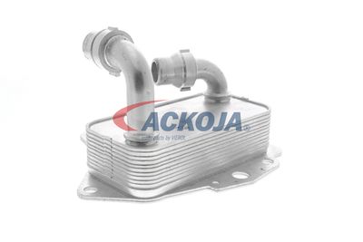 RADIATOR ULEI ULEI MOTOR VEMO V24600051 31