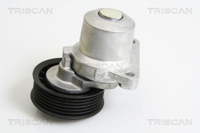 Натяжитель ремня, клиновой зубча TRISCAN 8641 103033 для MAZDA MPV