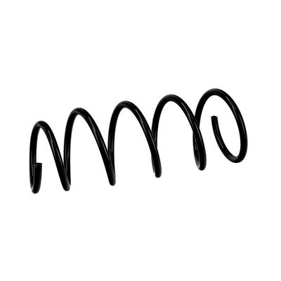 ARC SPIRAL EIBACH R10108 18