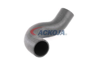 FURTUN EAR SUPRAALIMENTARE ACKOJA A380298 51