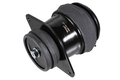 окачване, двигател METZGER AUTOTEILE 8050819