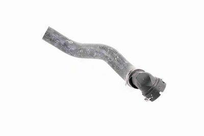 FURTUN RADIATOR VAICO V240876 6