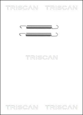 TRISCAN Zubehörsatz, Feststellbremsbacken