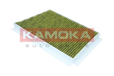 Filter, cabin air 6080065