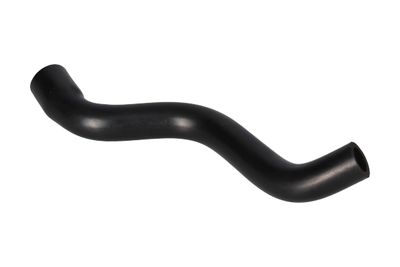 FURTUN ULEI BIRTH 56007 8