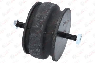 SUPORT MOTOR BIRTH 5527 5