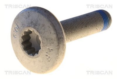 Boulon de fixation, bras transversal TRISCAN