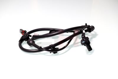 SENZOR TURATIE ROATA