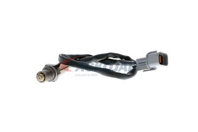 SONDA LAMBDA ACKOJA A53760007 59