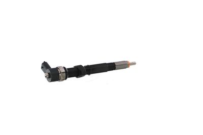 INJECTOR REMANTE 002003000015R 36