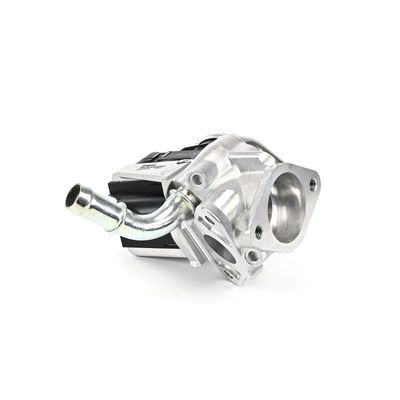 SUPAPA EGR DELPHI EG1055112B1 21