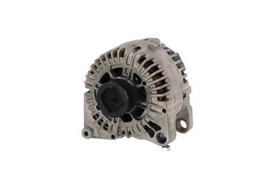 GENERATOR / ALTERNATOR REMANTE 011003001164R 65