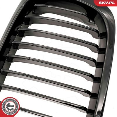 GRILA RADIATOR ESEN SKV 66SKV060 5