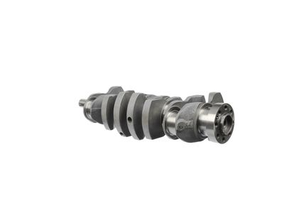 ARBORE COTIT ET ENGINETEAM HK0164 21