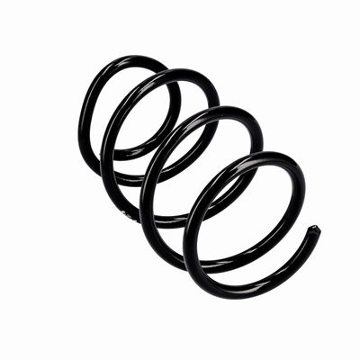 ARC SPIRAL EIBACH R10715 11