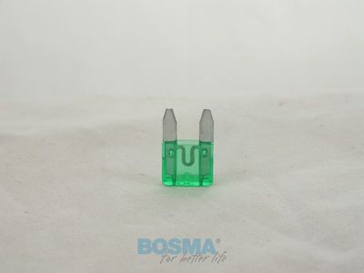 Kaitse BOSMA 2041