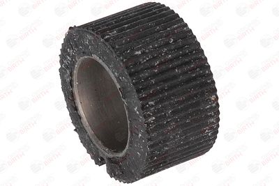 BUCSA ARBORE DE DIRECTIE BIRTH 4848 9